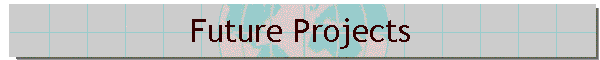 Future Projects