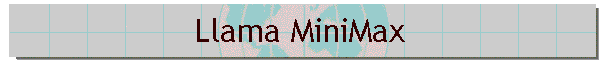 Llama MiniMax