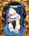E5-08-Oct28-AutumnSunshineNap.jpg