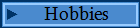 Hobbies
