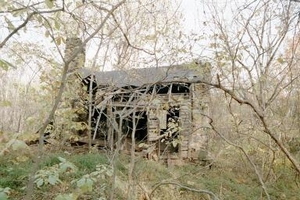 Read About the Via cabin 