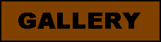 Enter Maggie's Gallery