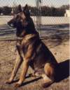 Athos