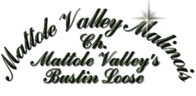Mattole Valley Title Bar 11KB