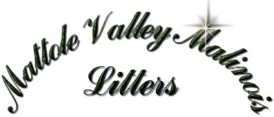 Mattole Valley Litters Title Bar 12KB