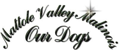 Mattole Valley Title Bar