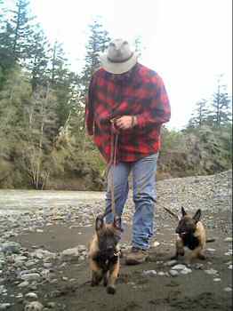 Feist and Fenris, First time at the River! - 13KB