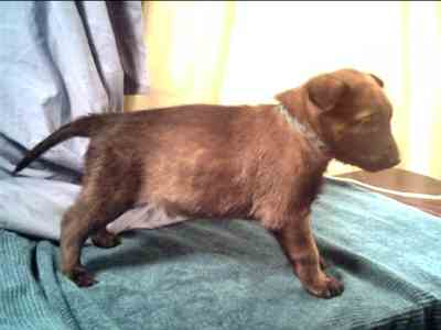 Flare at 4 weeks - 10KB