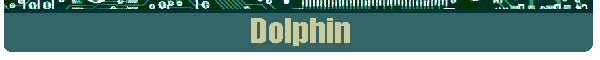 Dolphin