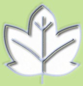 Other Information