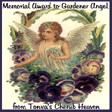 Tonya's Award