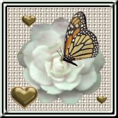 Link to Butterfly Island