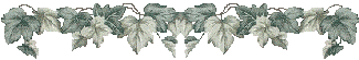 ivybar