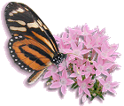 Monarch