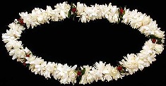Double Tuberose Lei