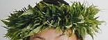 Fern Haku