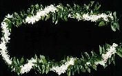 Maile Tuberose Lei