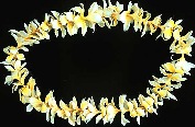 Plumeria Lei