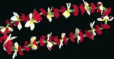 Plumeria Carnation Lei