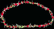 Rosebud Tuberose Lei