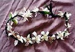 Ti-Leaf Orchid Lei