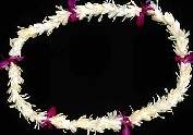 Tuberose Orchid Lei