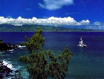 Honolua Bay