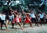 Hula Dancers