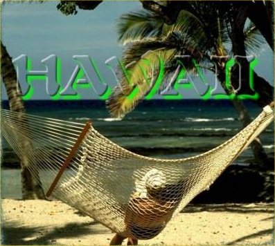 Hawaii............the Island State