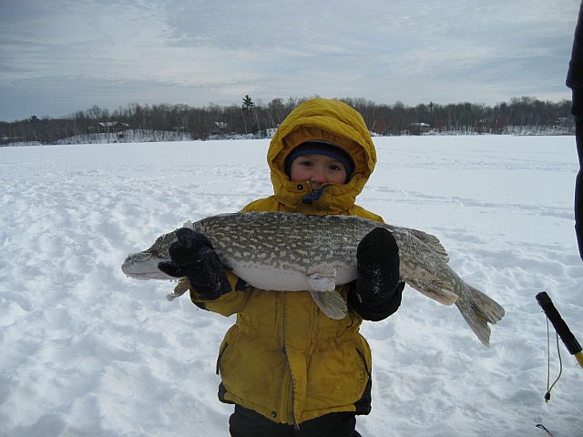 Walleyes