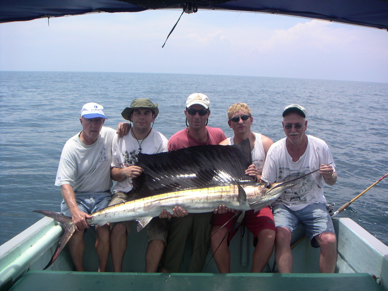 Sailfish