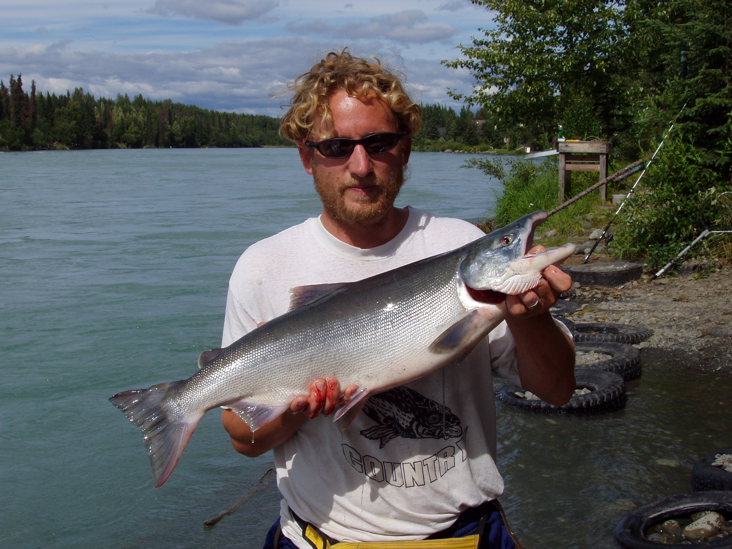 Sockeye