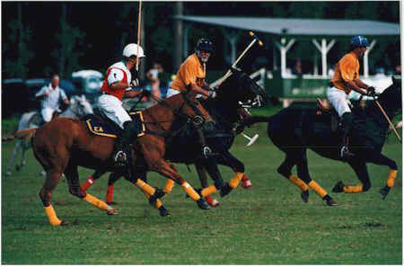 Outdoor maui polo.jpg (32291 bytes)