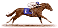 Racing Horse