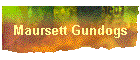 Maursett Gundogs