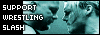 Support Wrestling Slash - Austin/Jericho