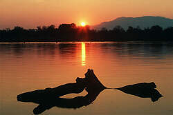 Mana Pools