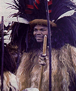 Nguni
