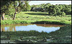 Sabi River