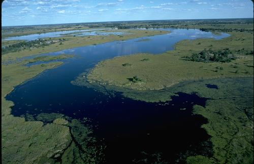 Okavango