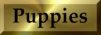 Puppies, Plans & Adults available page