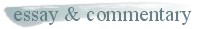 essay and commentary