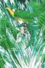 The four winged pheonix, Windom, and Fuu-san... ((Not FUUKONA okay Arashi-chan&nbsp; and Kuraino-chan))