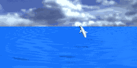/user/dolphinjmp.gif