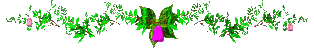 flower2