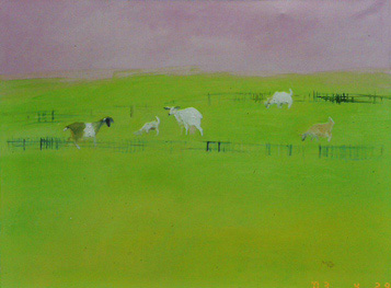 Half Moon Bay Goats