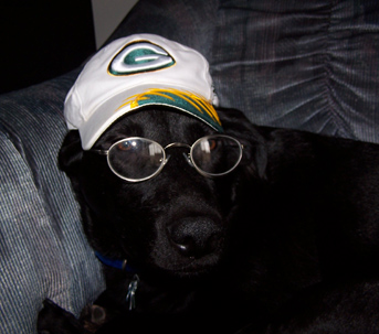 Smart Packer Fan
