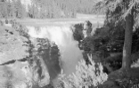 Athabaska Falls