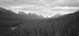 Jasper - main valley