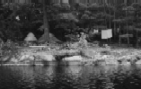 Camp Site